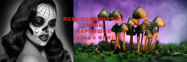 альфа пвп Киреевск
