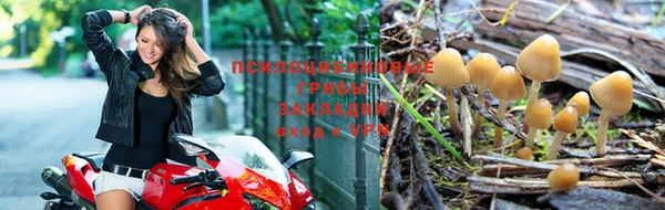 амф Киренск