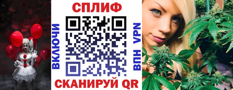 Купить закладки  Кудрово  Шишки марихуана марихуана 